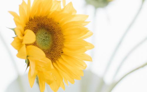 快乐的句子说话2