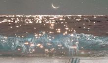 用开心的成语写句子