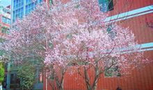 形容人开心甜蜜的句子