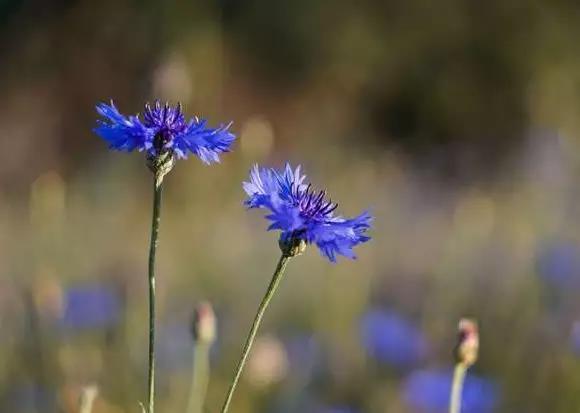 护士的正能量句子1