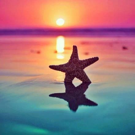 如果我想念我会后悔的1