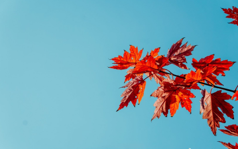 人生座右铭快乐句子