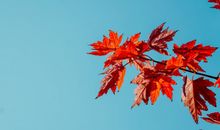 人生格言开心的句子