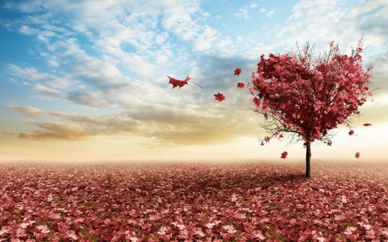 用爱情句子形容婚姻1