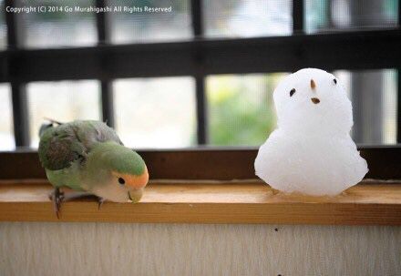 快乐的英语句子