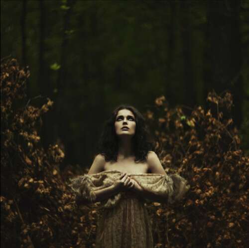 孤独使黑暗和堕落的句子变黑