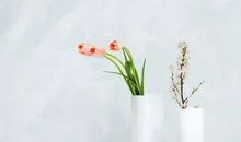 最新文案短句干净治愈