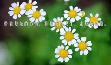 正能量的句子经典语句工作激励