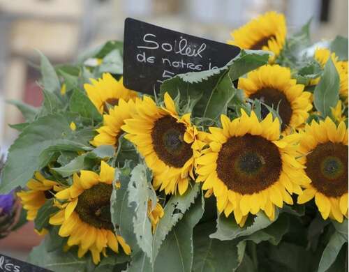 我希望有人开心