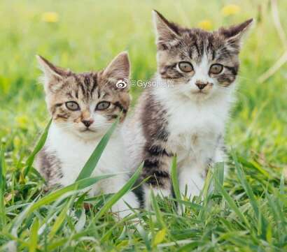 关于快乐和幸福的句子1