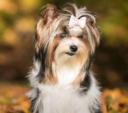 任性而快乐的句子2