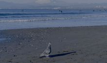 形容女孩开心的句子