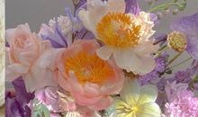 愿妈妈天天开心的句子