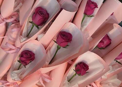 母亲每天快乐的句子1