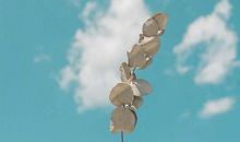 八句经典致自己的励志短句