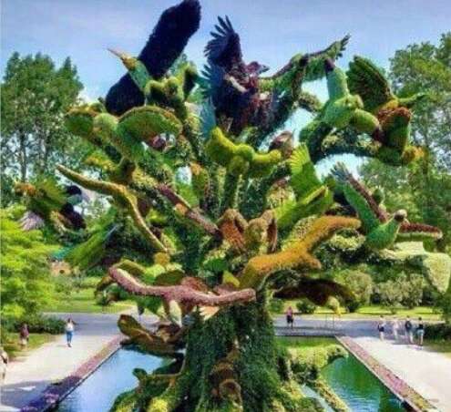 太阳升起幸福句子1