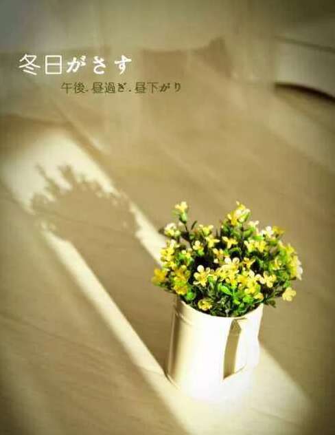 冬季暖阳的审美句子