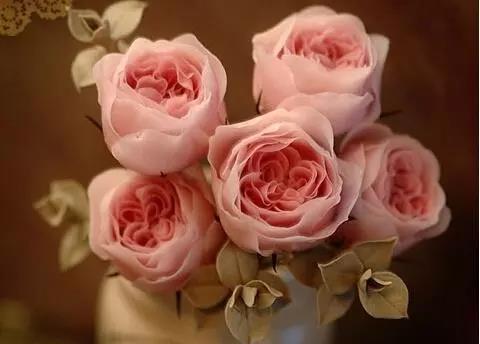 社会行情精神的家伙2