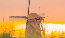 玩开心快乐的句子