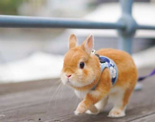 见女友快乐的句子1