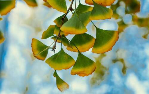 最幸福的句子简洁明了1