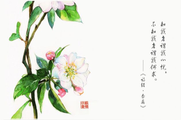 诗经中清新，优雅，优美的句子1