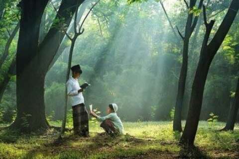 描述快乐春游2的句子