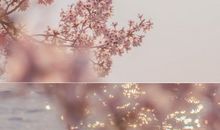 幽默开心快乐的句子