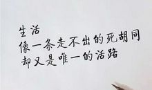 最近流行的抖音话语