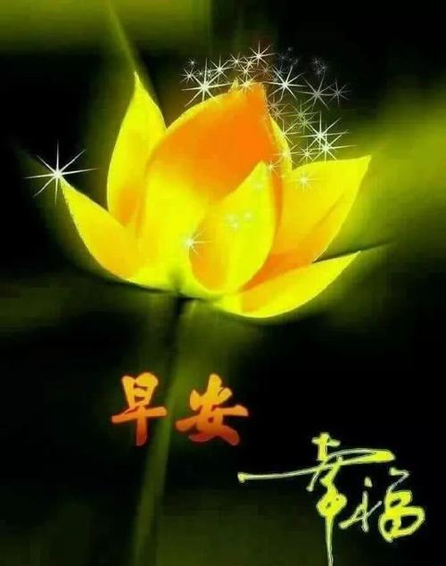 清晨问候积极能量短语