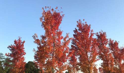 我希望自己每天开心