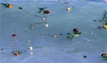 祝自己开心每一天的英文句子