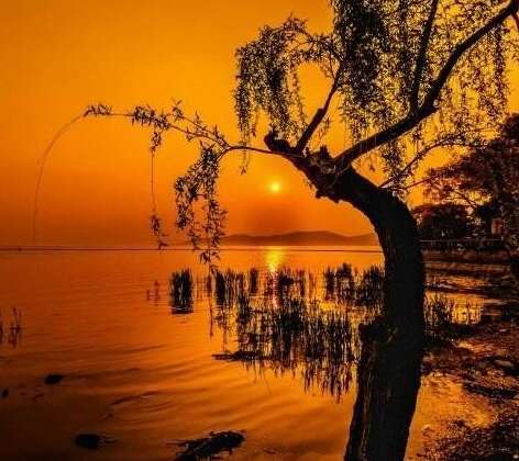 有没有让别人开心的句子