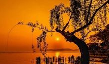 有没有逗别人开心的句子