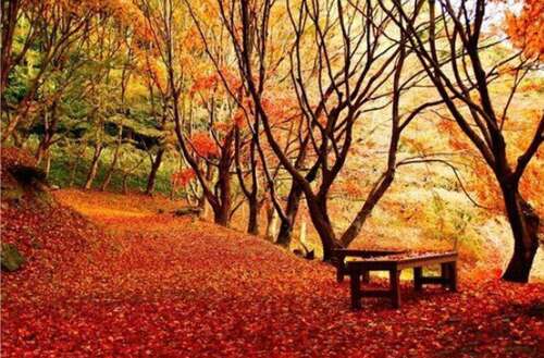 晚安快乐的正能量句子