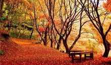 开心晚安正能量的句子