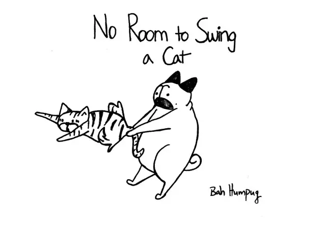 英语中关于猫的谚语