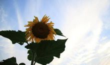 正能量英文短语