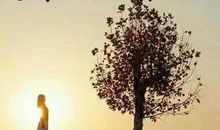 互相鼓励的句子