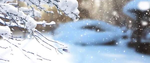 冬季在豆阴上写出色的文案