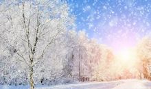 冬天的优美句子短句