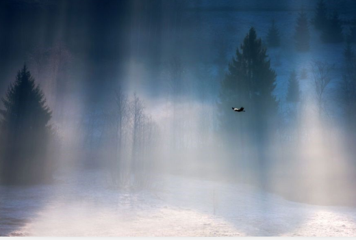 文艺句子描述幸福