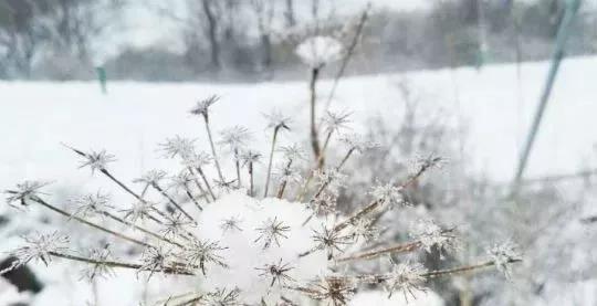 冬至谈论情绪句子