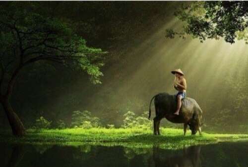 开心的孩子的句子2