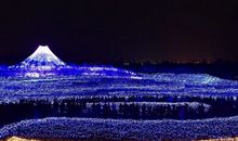 表达和同学开心的句子