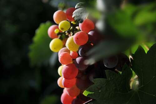 她开心的时候我很开心