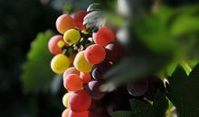 她开心我就开心的句子