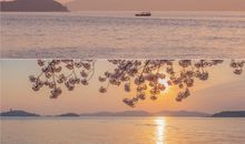 形容太阳开心的句子