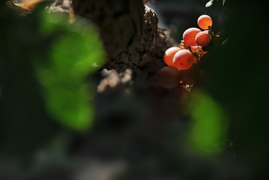 当她快乐的时候我快乐2