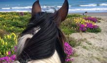 相信自己开心的句子